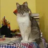 Отзыв от Римма Попова
